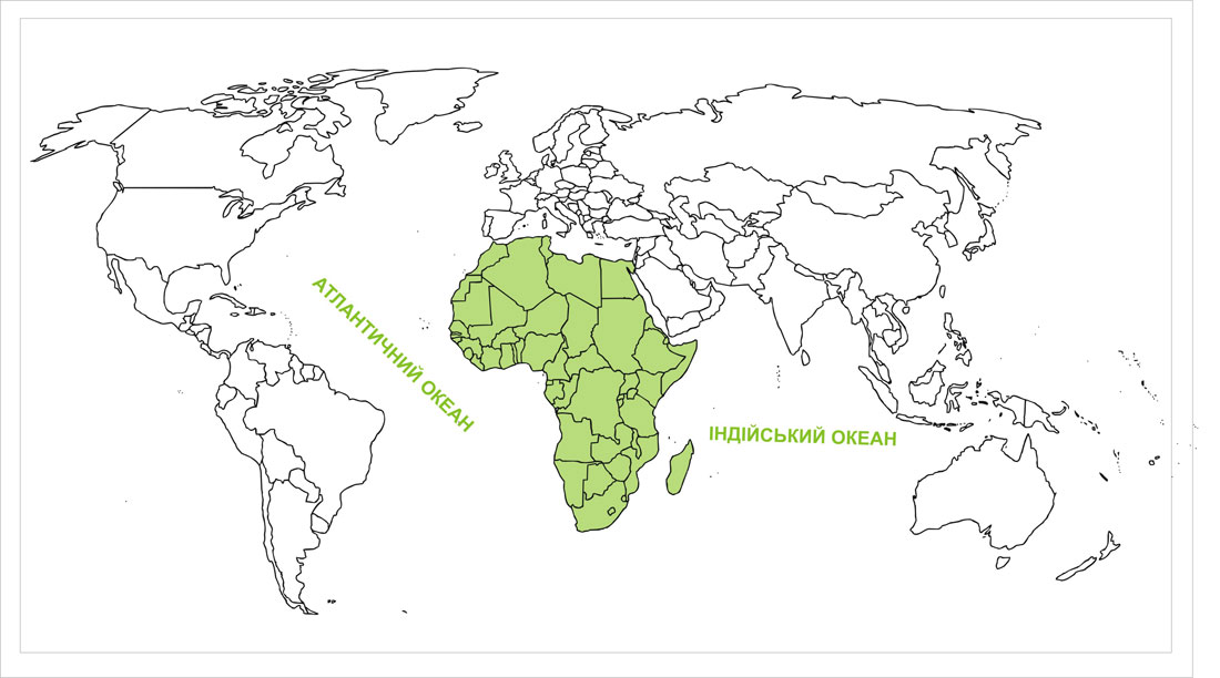 Африка на карті світу, де знаходиться континент географічне положення розташування розміщення на Землі планеті особливості місцезнаходження Африки опис характеристика повідомлення про те, де лежить Африканський материк на урок географії для 7 класу води яких океанів омивають Африку