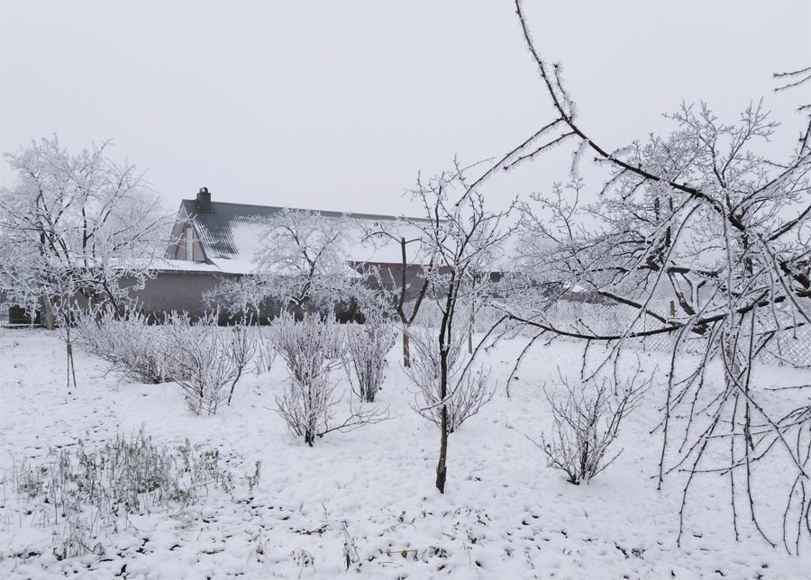 У зимовому саду атмосферні опади види опадів розповідь про атмосферні опади сніг опис доповідь повідомлення уявлення термін це утворення атмосферних опадів виникнення