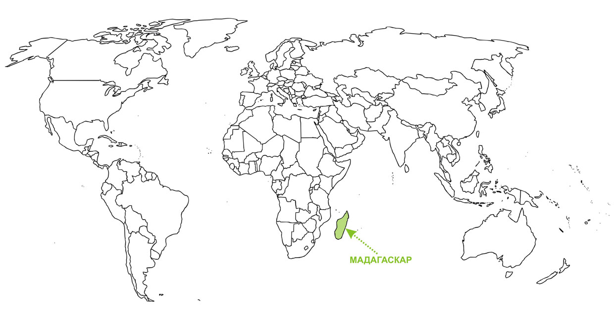 Острів Мадагаскар на карті світу, де знаходиться острів Мадагаскар розташування географічне положення дослідження українською мовою особливості відокремлений від Африки