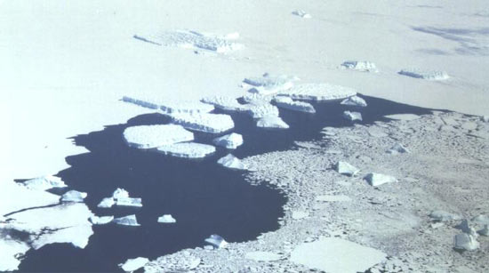 Льодовики як утворюються льодовики на Землі розповідь повідомлення характеристика які бувають льодовики де знаходяться на земній кулі уявлення
