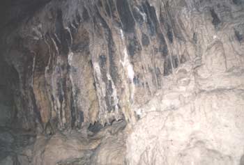 Кальцитові натіки в печері Перлина