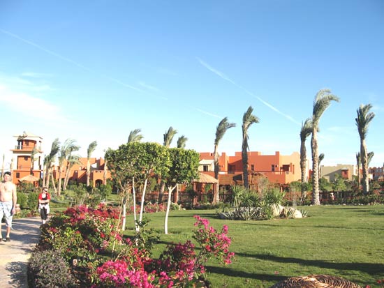 Клімат Єгипту погода впродовж року на курортах країни