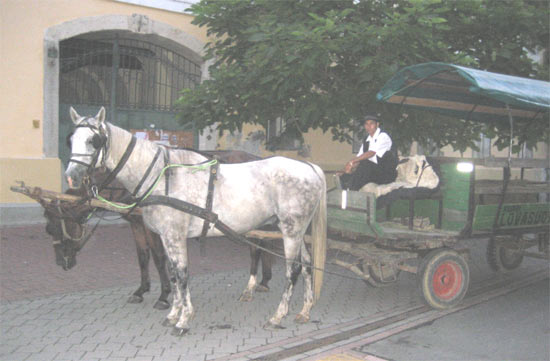 Транспорт Угорщини кінний транспорт Будапешт екскурсії на конях по місту Transport of Hungary