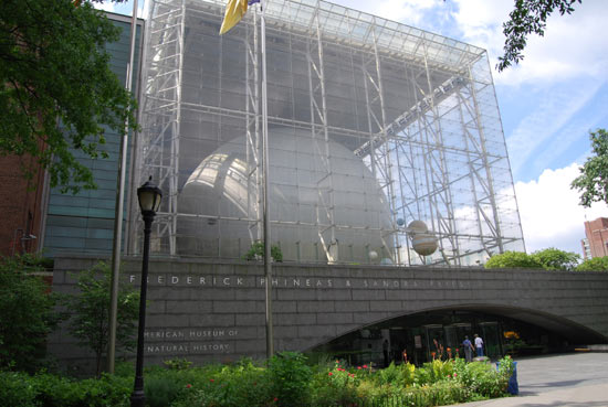 Музей природної історії у Нью-Йорку