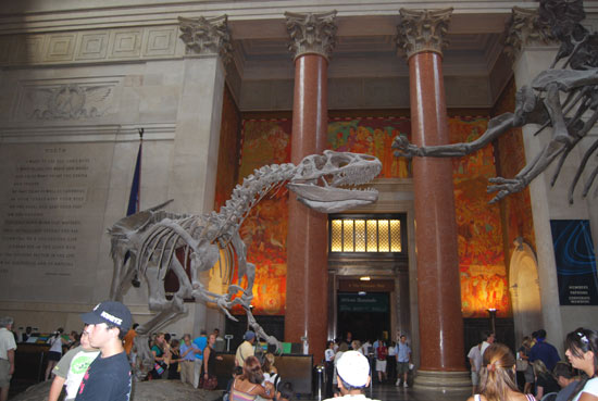 Музей природної історії у Нью-Йорку